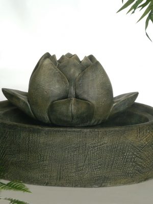 Fontaine de lotus