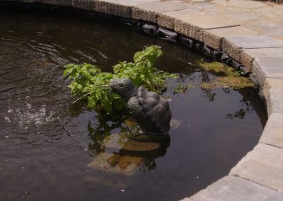 Fontaine de tortue